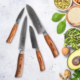 Wakoli Kitchen Knife Set, 4 Pieces Professional Chef Knife Set made from 67 Layers of Damascus Steel with VG10 Core, Damascus Knife with Ergonomic Pakkawood Handles in Wooden Gift Box (EDIB Pro 4-pcs)