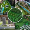 XEERUN 70pcs Mixed Model Trees, Landscape Model Diorama Trees Mixed,