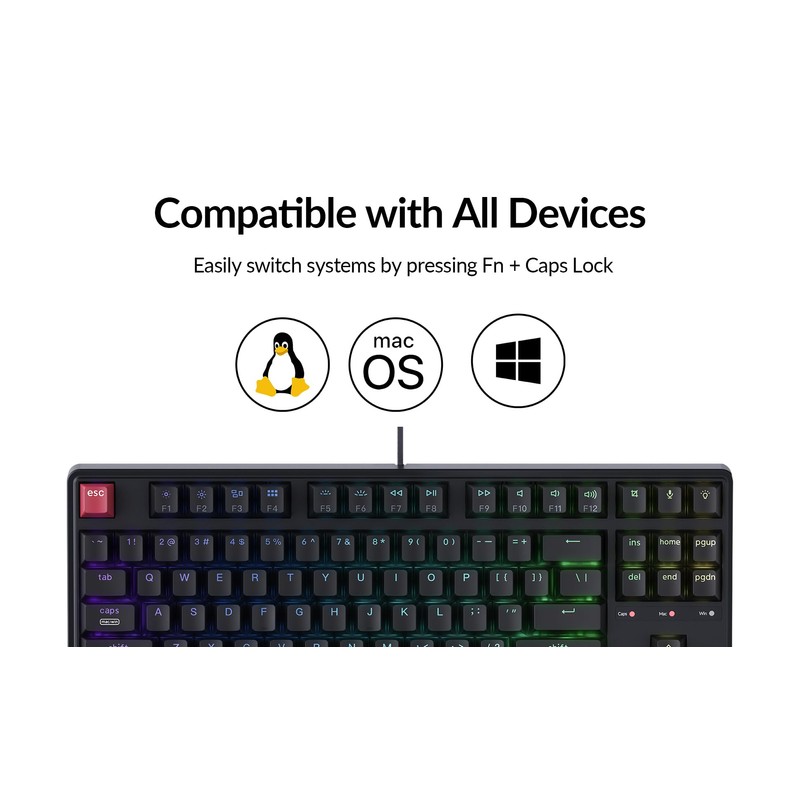 Keychron C3 Pro TKL 80% Wired Mechanical Keyboard, 8K Polling