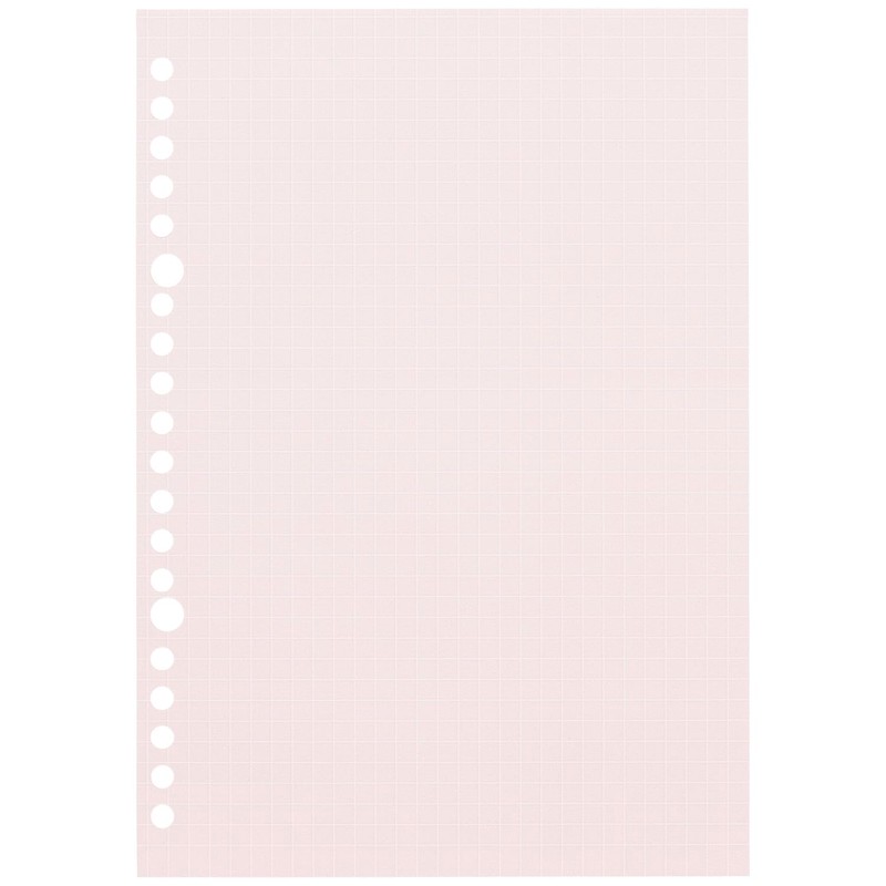 Maruman B5 L1232-99 Loose Leaf Dull Color Assortment, 0.2 inch