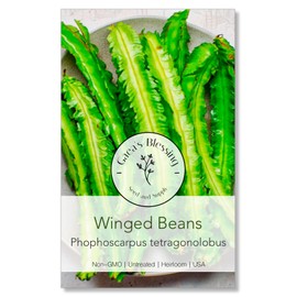 Gaea's Blessing Seeds - Winged Bean Seeds - Non-GMO Seeds with Easy to Follow Planting Instructions - Open-Pollinated, Heirloom, Untreated, Always Fresh