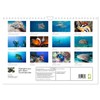 Highlights from the Sea Diving Calendar (Wall Calendar 2026 DIN