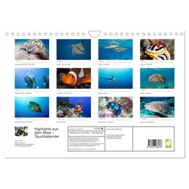 Highlights from the Sea Diving Calendar (Wall Calendar 2026 DIN A4 Landscape), CALVENDO Monthly Calendar: Experience the Colourful World Underwater! A Calendar Not Only for Divers (CALVENDO Animals)