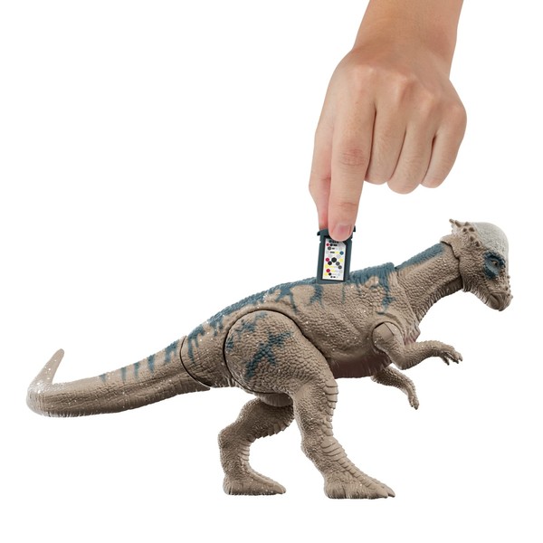Jurassic World - Toy, Multicoloured (Mattel GWN34)