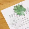 Sunstar Stationery S2817950 Sticky Notes, Loc Reichibung, Round Leaves