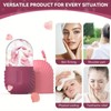 Facial Care Tool Set, 3 Counts/set Ice Cube & Soft