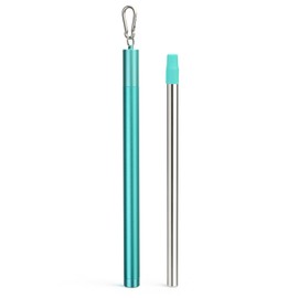 Sursip Water Filter Straw Reusable Stainless Steel Portable Outdoor Emergency Survival Gear for Camping & Hiking Travel Personal Water Purifier Filter Straw(1 Pack)