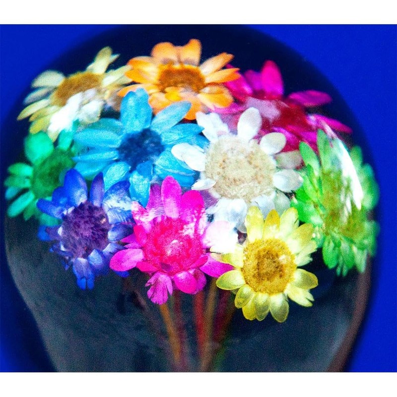 Real Dried Flower Clear Lucite Knob Handle Walking Stick with