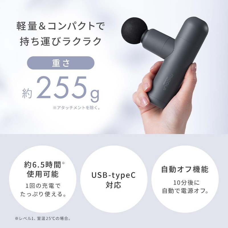 Iris Ohyama MICOLA Beauty Care Gun FRT-M01-H Dark Gray