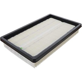 ACDelco GM Original Equipment A2930CF (19254690) Durapack Air Filter