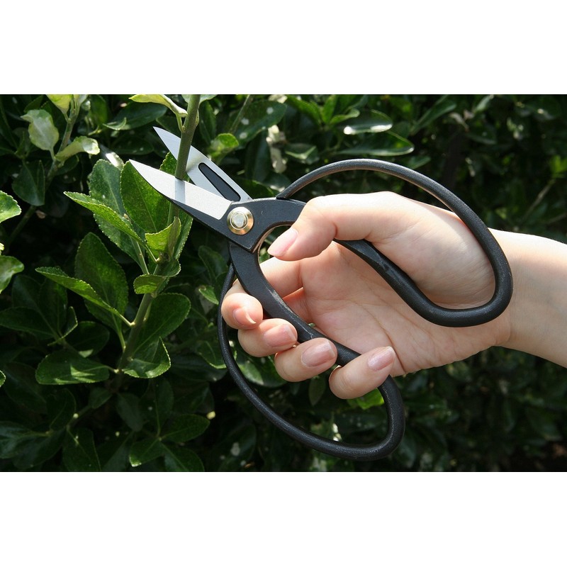 浅香工業 盆栽鋏 寛文作 192039 本体: 奥行21cm 本体: 高さ1cm 本体: 幅12cm