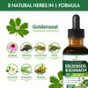 Immune Health Herbal Complex Extract, Goldenseal & Echinacea Extract for