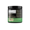 Optimum Nutrition Optimum Nutrition 100% Pure Creatine Monohydrate Micronized Powder,