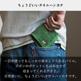 Tabarat Towel Handkerchief, Handkerchief, Gift, Individual Packaging, Imabari, Hand Towel, 9.1 x 9.1 inches (23 x 23 mm), 1 Piece Set (Green)