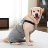 Dog Recovery Suit for Hid Leg, Soft Stretchy Pants for