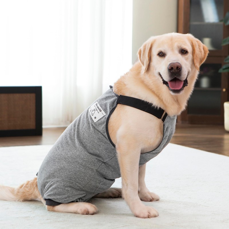 Dog Recovery Suit for Hid Leg, Soft Stretchy Pants for
