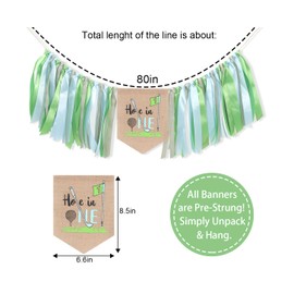 AOQURE Hole In One Golf Themed Highchair Banner - Green, 12.5" x 8.6", Golf 1st Birthday Party Decoration