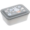 Skater PAS5AG-A Antibacterial Lunch Box, 15.9 fl oz (450 ml),
