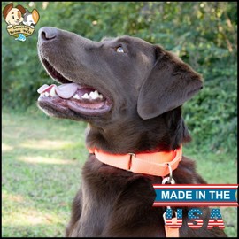 Country Brook Petz Martingale Dog Collar - Heavy-Duty Training Collar with No Buckle - Service Dog Collar for All Pups - Vibrant, Colorful Collection (Hot Orange, 1 Inch, Large)