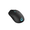 Qpad Gaming Maus DX900 16.000 DPI FPS, drahtlos
