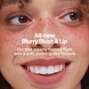 fwee Blurry Pudding Pot Airbrushed Blush & Lip, Buildable &