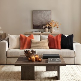 MIULEE Faux Fur Decorative Throw Pillow Covers 20x20 Inch Set of 2, French Modern Art Home Decor Soft Plush Couch Pillows Cozy Fluffy Cushion Covers for Sofa Bed Black