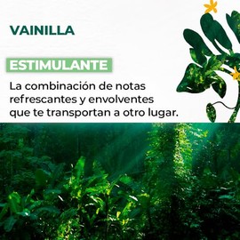 YVES ROCHER - Kit Refill Geles de Ducha, Aroma Vainilla, para Todo Tipo de Piel, Fórmula Vegana, Incluye 2 Geles, 600 ml c/u