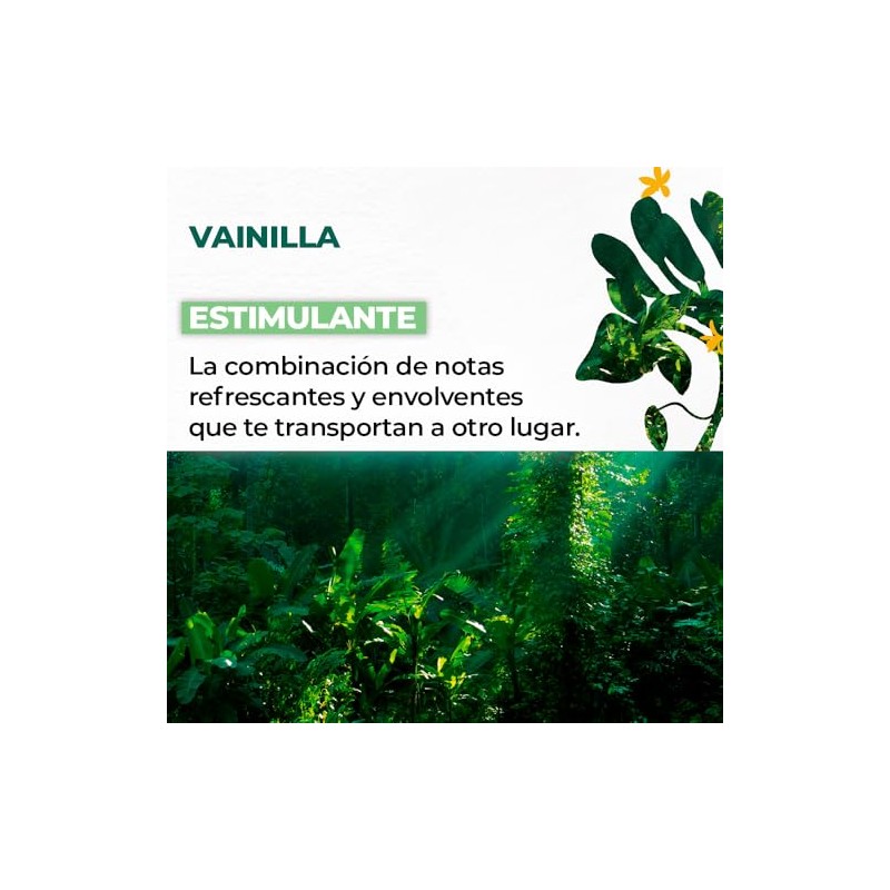 YVES ROCHER - Kit Refill Geles de Ducha, Aroma Vainilla,