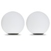 2 Pack Matte Opal Glass Globe Lampshades with Black Metal