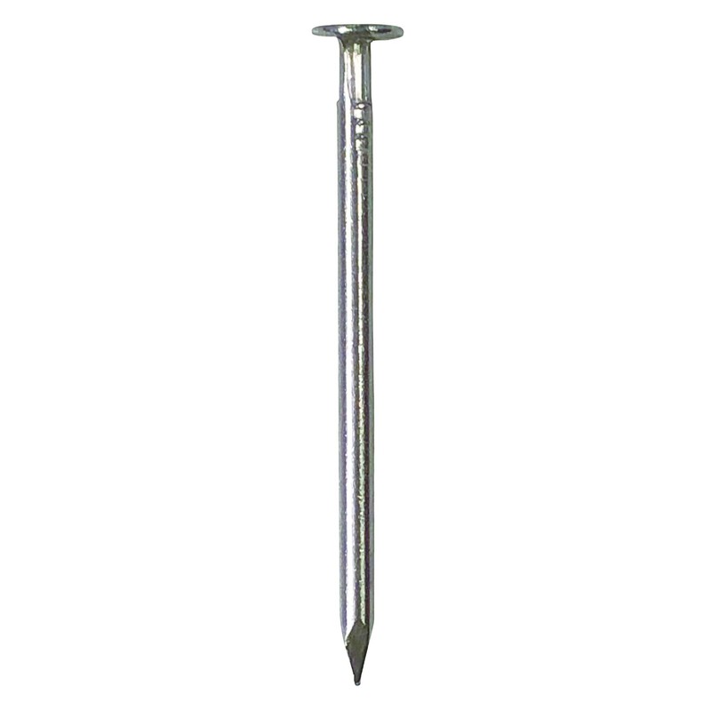 Daidohant Stainless Steel Nails, Flat 0.1 x 3.9 inches (4.0