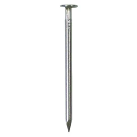 Daidohant Stainless Steel Nails, Flat 0.1 x 3.9 inches (4.0 x 100 mm), 7.1 oz (200 g), Approximately 18 Bottles (VP) 75361 SUS304