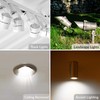 Simba Lighting LED MR16 3.5W 12V Light Bulb (6 Pack)