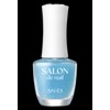 BANDI [NEW] Bandi Salon de Nail 18 types (magnet/glitter/syrup) -
