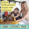 Fab Tab Sustainable Cleaning - All Purpose Refill Spray Tablets