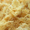 Generic Sea Moss Gel by Pure Sea Moss UK -