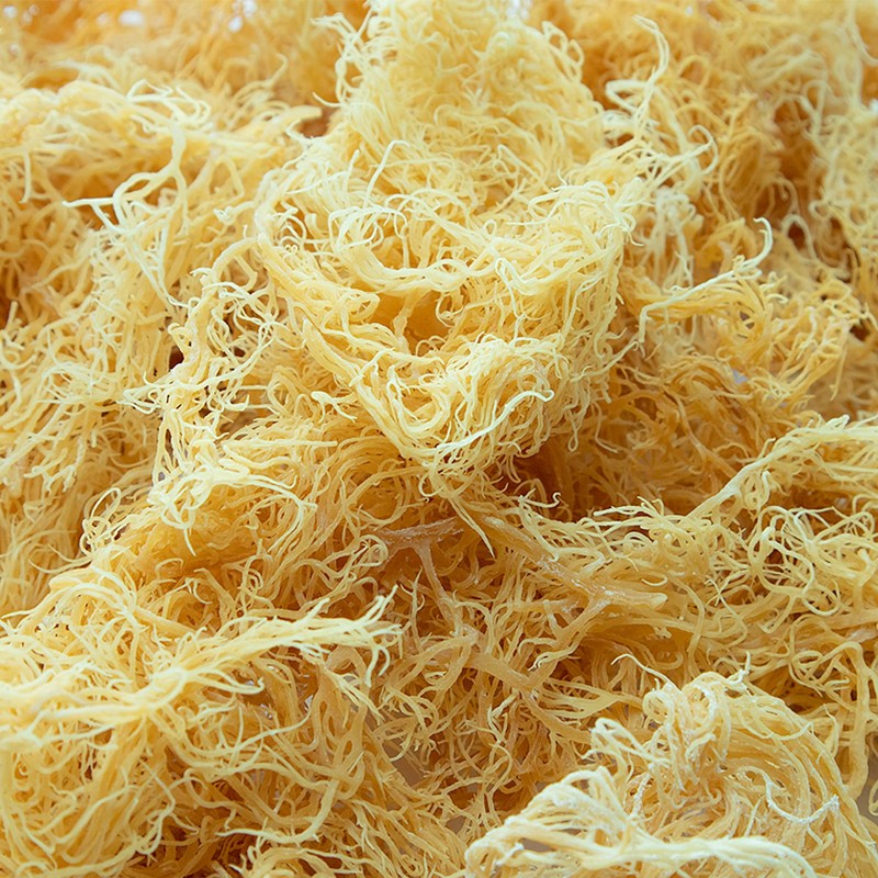 Generic Sea Moss Gel by Pure Sea Moss UK -