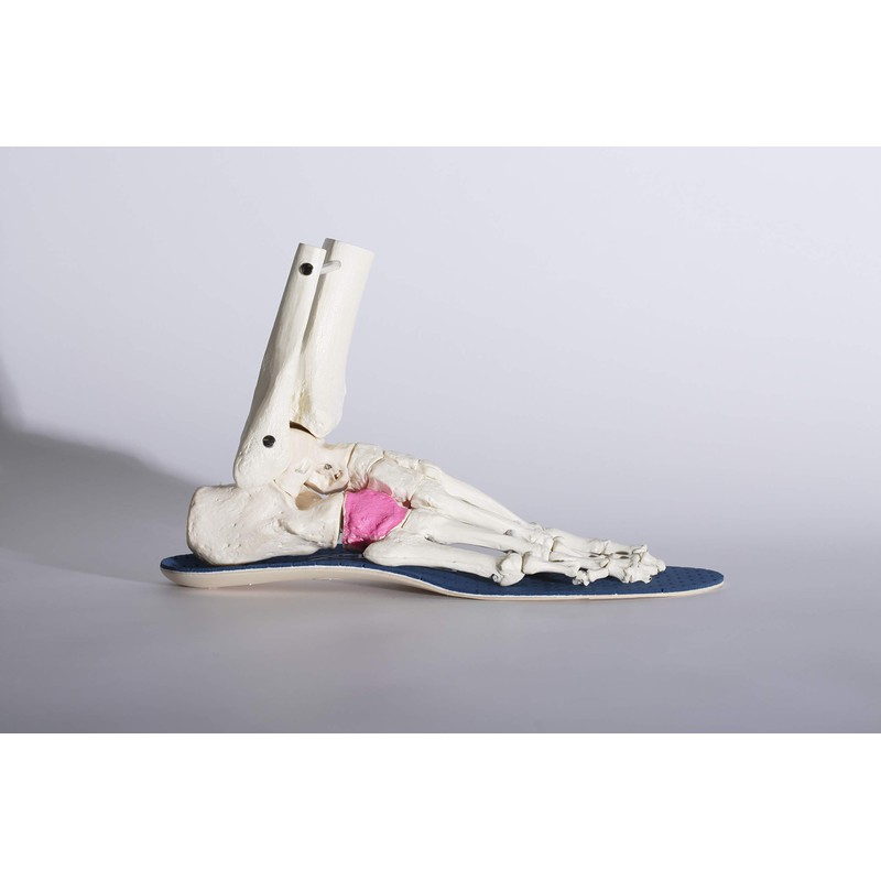 BMZ(ビーエムゼット) 「Cuboid balance理論」モデル キュボイドパワー オールフィット BM-K124 ネイビー 25.0-25.5cm