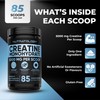 Creatine Monohydrate Powder 425g - For Increased Muscle Growth &