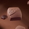 DOVE PROMISES Milk Chocolate & Caramel Candy, 12.67 Oz Large