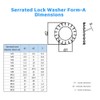 M12 Serrated Washers (Pack of 50) Galvanised Alloy Steel A2