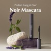 Blink Black NOIR Volume Mascara Aftercare For Eyelash Extension
