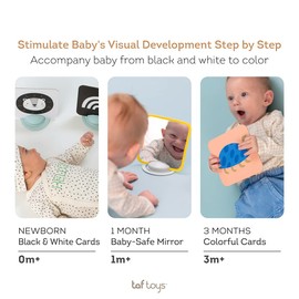 Taf Toys My First Tummy-time Baby Flash Cards. High Contrast Newborn Sensory Flashcard. Black White Monochrome Colourful Visual Stimulation Learning Activity Gift Set for Babies. 0 Months +