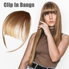 Human Hair Bangs Clip,Women Human Hair Wig Clip-in Bangs | Covers Thinning Hair Daily Wear Hairpieces Sisters Wife Hair Extension Bangs for Gathering