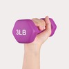 LIONSCOOL Neoprene Coated Dumbbell Weights (Rose Pink 1lb Pair)