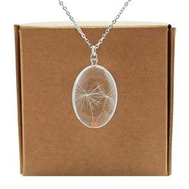 L√∂wenzahn mit 2 W√ºnschen Pusteblume Echte Blume Glas 925 Sterling Silber Ketten Halsketten mit Anh√§nger Damen Handmade