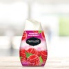 Renuzit Adjustable Air Freshener Gel, Forever Raspberry, 7 Ounces (6