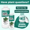TPS NUTRIENTS Jade Fertilizer for All Jade and Crassula Plants,