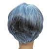 GLOBAL BOX Grandpa Wig, Gray Hair, Men's, Entertainment, Mimic, One