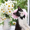 HACRAHO Formal Bow Tie for Dogs Adjustable Formal Pet Costume