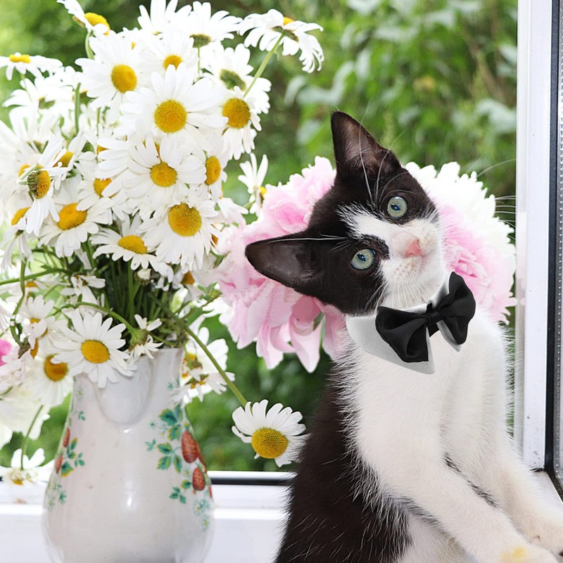 HACRAHO Formal Bow Tie for Dogs Adjustable Formal Pet Costume